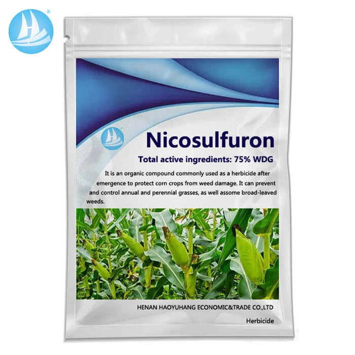 Nicosulfuron 75% WDG CAS NO.111991-09-4